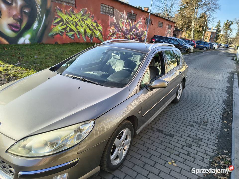 Peugeot 407 20 HDI 356000km Zamość
