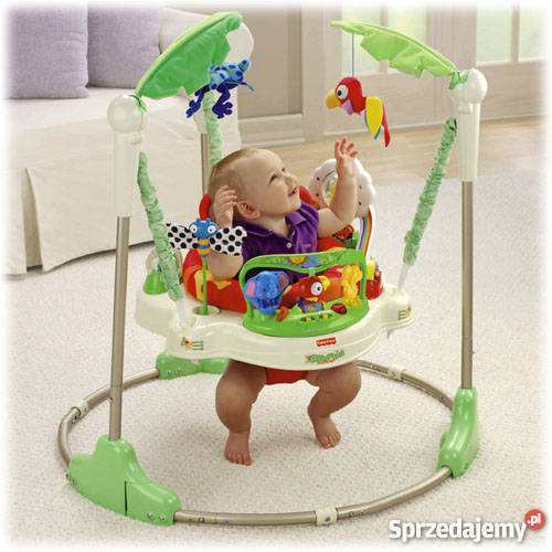 fisher rainforest skoczek tropikalny las opakowa sprzedam