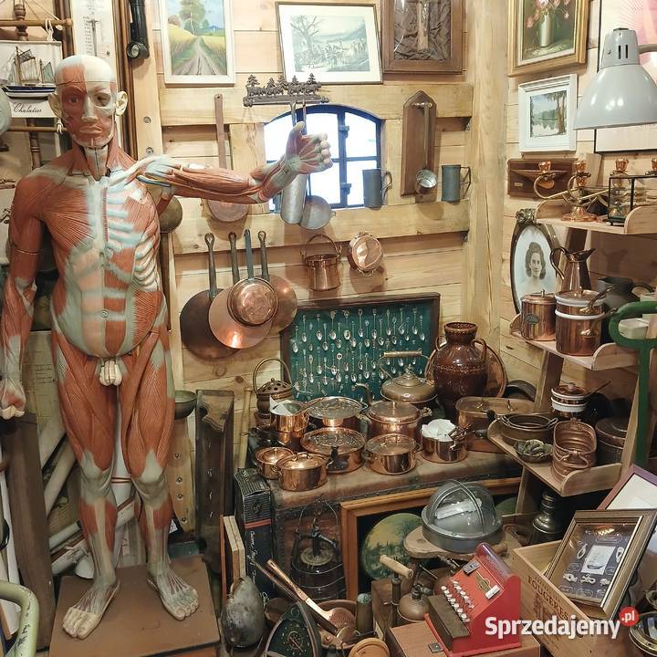 Marynistyka żeglarstwo osobliwości antyki Warszawa sprzedam