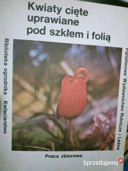 Kwiaty cięte uprawiane pod szkłem i folią mazowieckie Warszawa