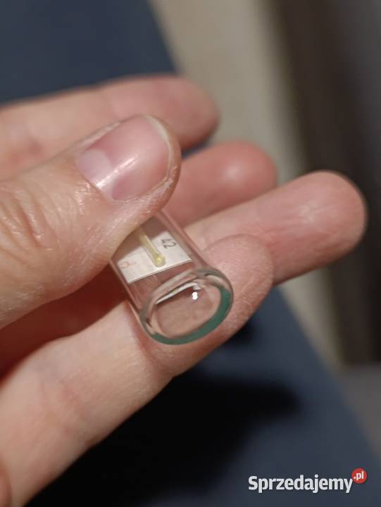 termometr stary Poznań