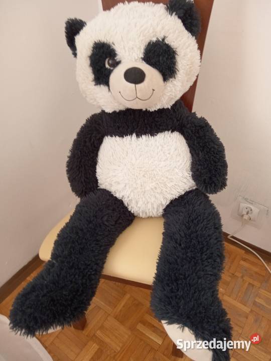 Duży misio 3 lata+ Piotrków Trybunalski sprzedam