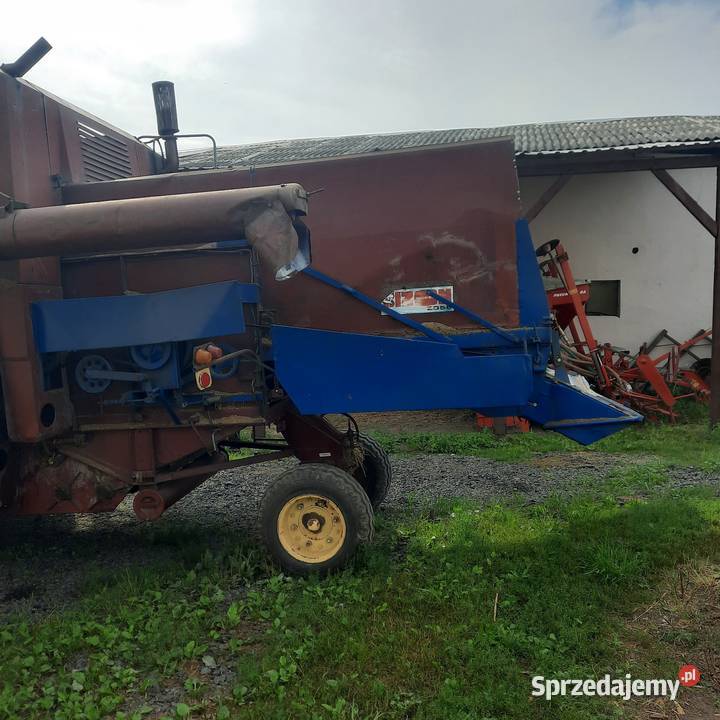 Bizon zo 56 Bizon Pelplin