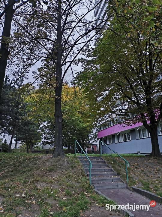 Mieszkanie Tysiąclecia Katowice zielona okolica 8225zł/m2 śląskie