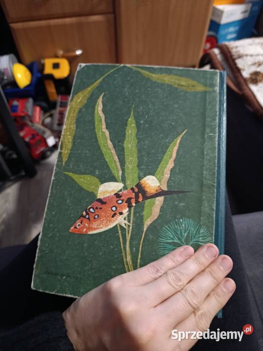 Ryby w akwarium autorstwa H Jakubowskiego i J Kultura i Rozrywka Poznań