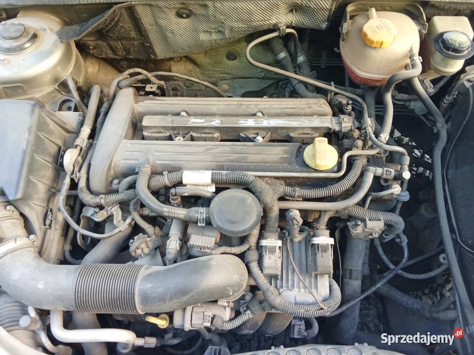 Opel signum GTS dariect 2216v silnik kompletny Kamieniec Wrocławski sprzedam