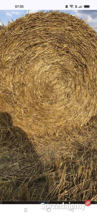 Słoma z żytnia i pszenżytnia belki 130x120 Sosnowica