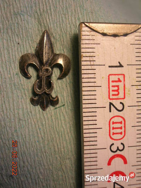 Odznaka Szare Szeregi