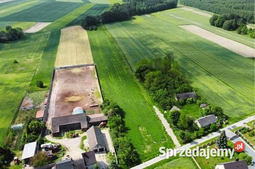 Teren inwestycyjny 9538 m2 z WZ Borki Jędrzejów budowlana sprzedam