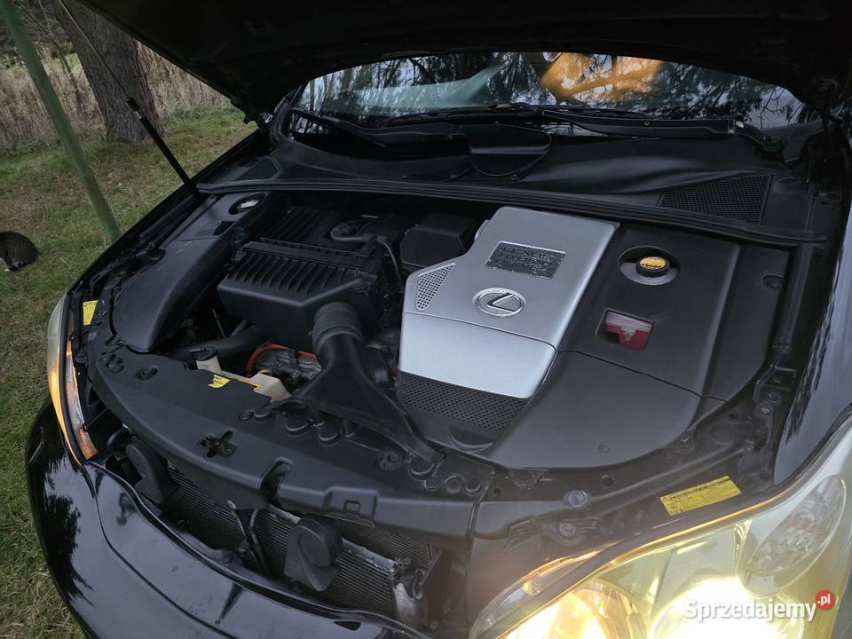 exus RX II 20032009 33 Full serwis Aso
V6 Malm reflektory ksenonowe Sandomierz