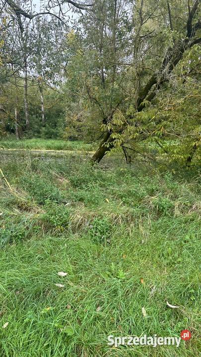 Działka Tarnów Wilga 10m mazowieckie