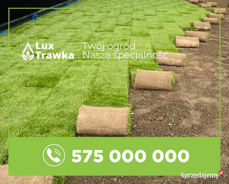 Trawa w rolce Trawa z rolki Dostawa na terenie