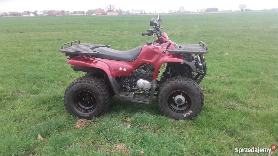 MOTORTEK TM 175 Ostoje