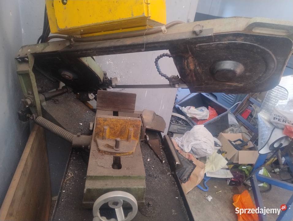 Piła tasmowa Biznes i Przemysł Głubczyce