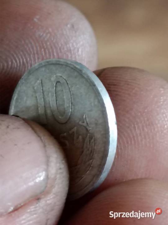 Sprzedam 10 gr 1967 zzm Chełm