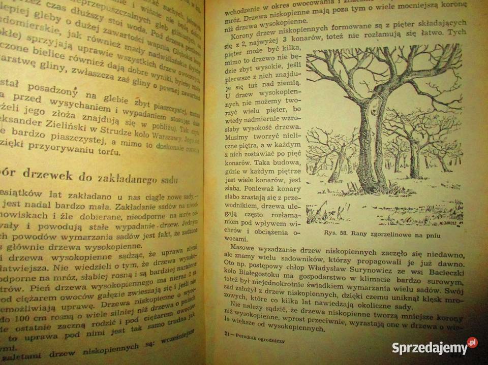 Poradnik ogrodniczy ogród działka uprawa Łódź sprzedam