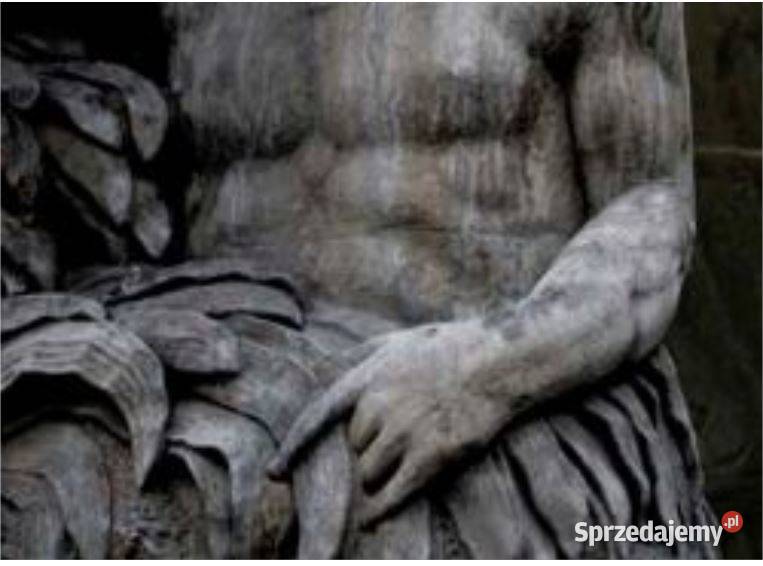 Grafika obraz na ścianę Popiersie rzeźby 270x330 Gdynia