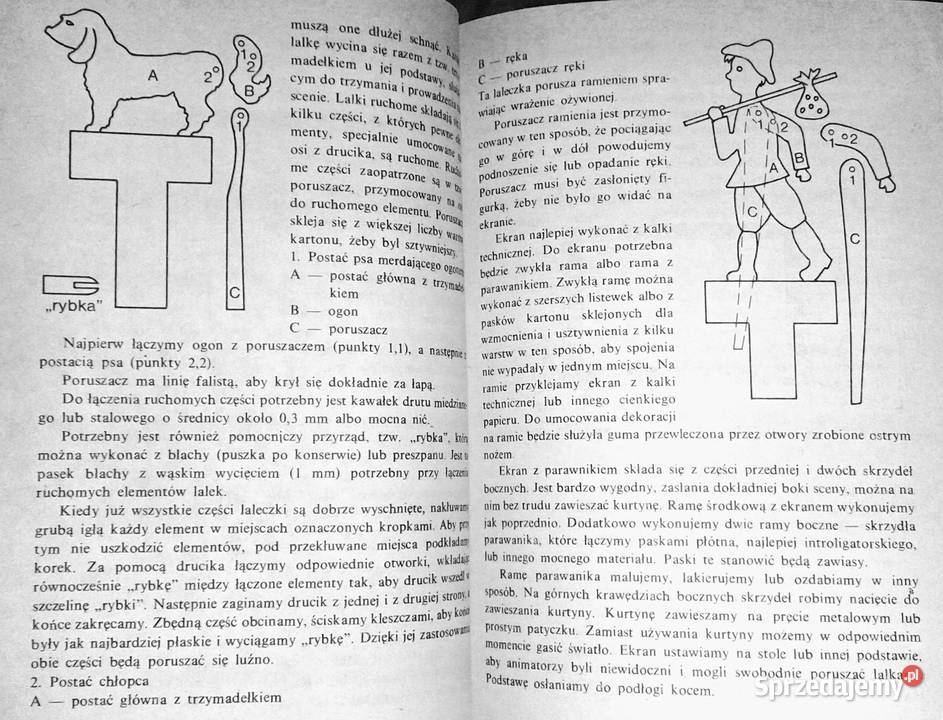 Zajęcia pozalekcyjne z dziećmi upośledzonymi miękka Kultura i Rozrywka Chełm