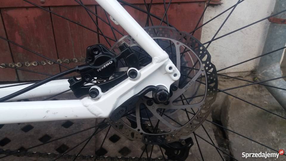 rower scott sportster