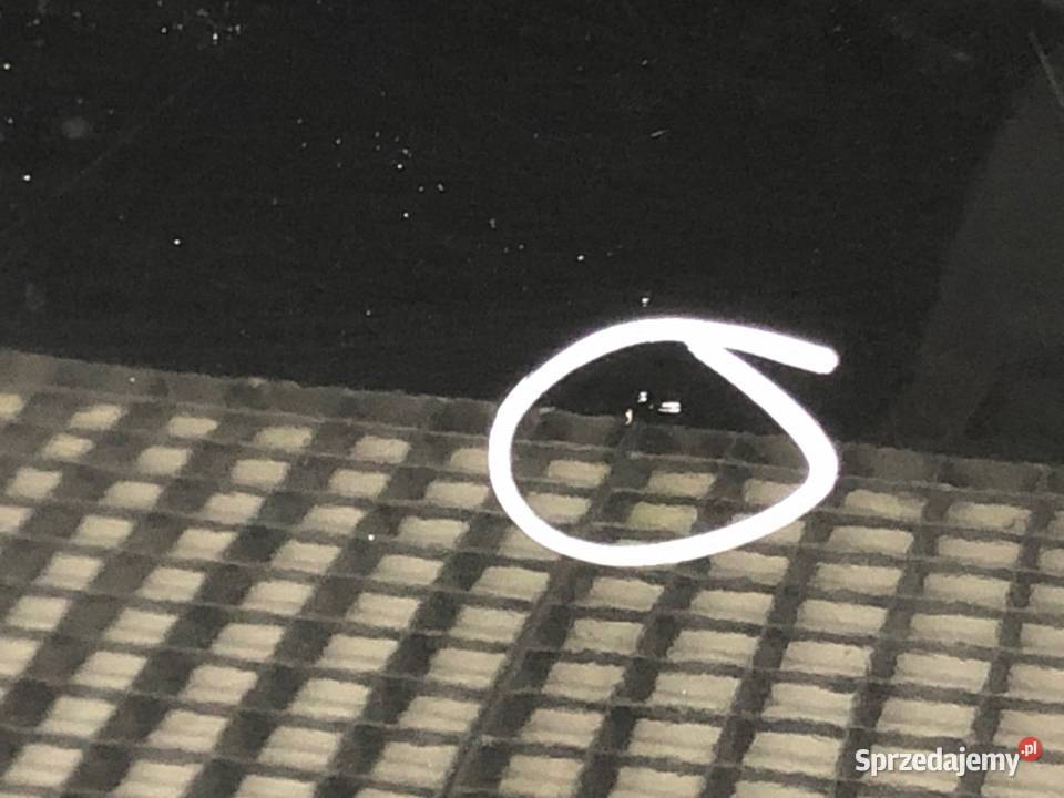 DRZWI PRAWY PRZÓD RENAULT LAGUNA III Hatchback osobowe sprzedam