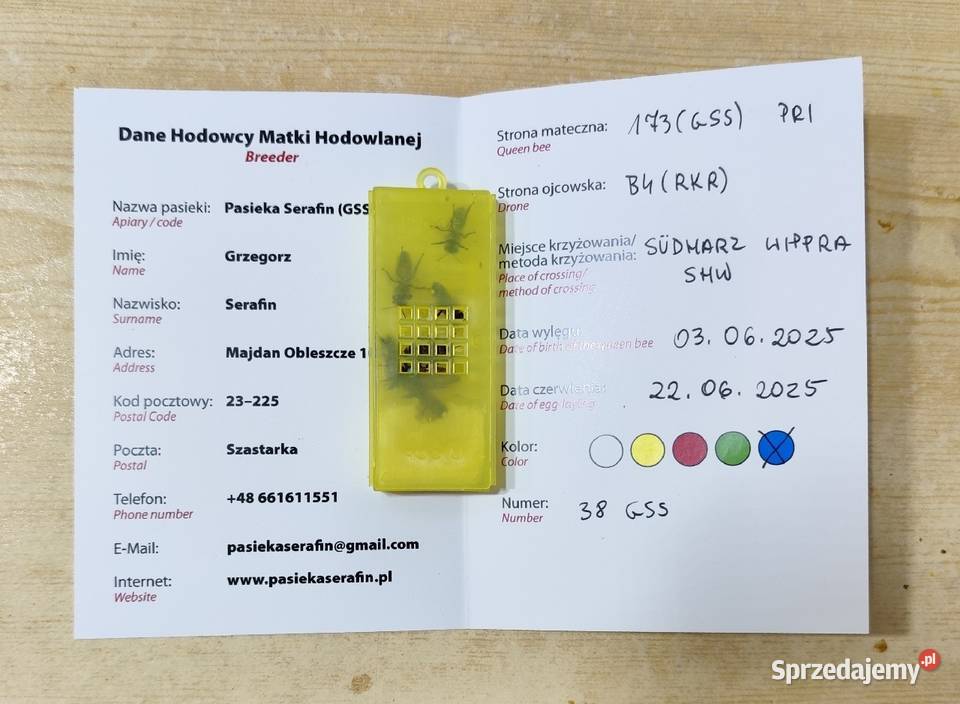 ręki unasiennione Buckfast Primorski matki Wolinia