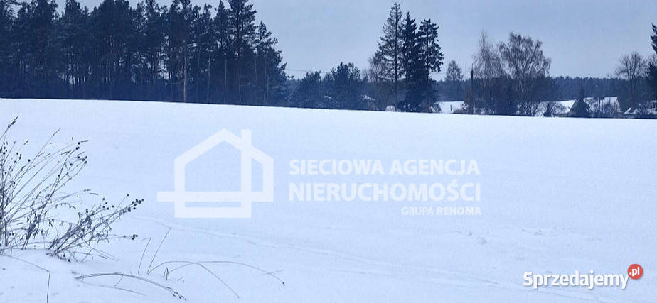 Działkę sprzedam Wielki Klincz 8800m2 sprzedam