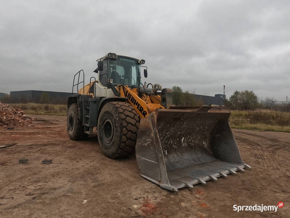 Liebherr usuwanie DPF z dojazdem do klienta Katowice