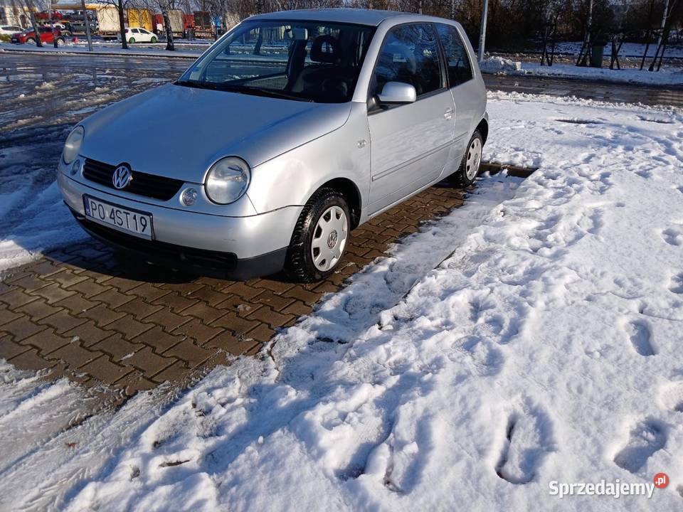 Sprzedam lupo Kostrzyn