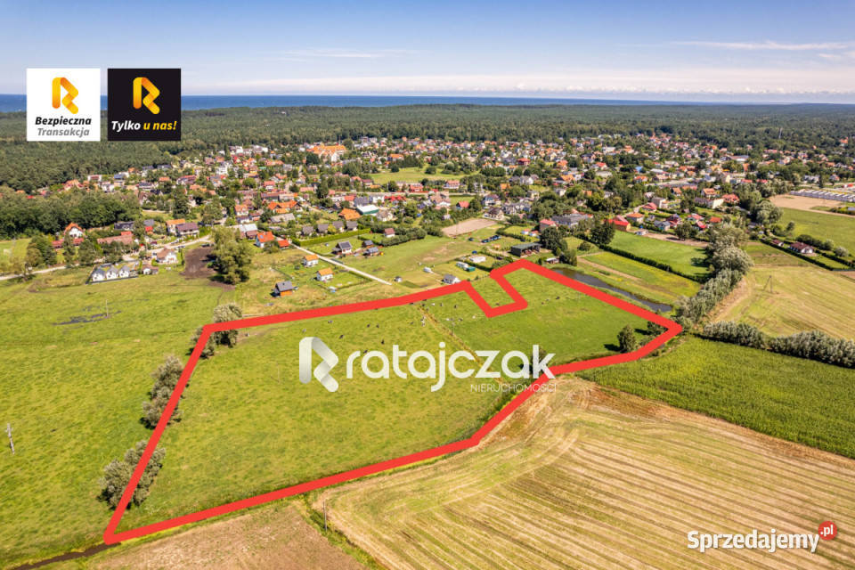 Sprzedaż gruntu 23900m Stegna pomorskie