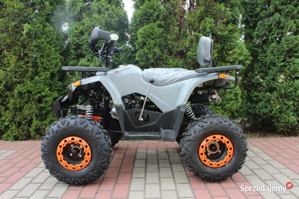 Quad BERETTA HUNTER półautomat 31 wsteczny 125 Goleniów