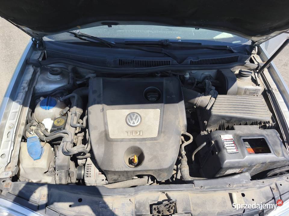Golf IV 2005 19 101 koni na częścido lasu lubelskie Łuków