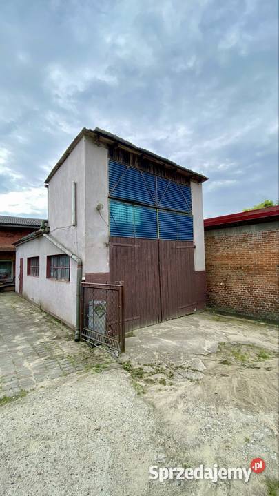Dom w Nowem z panoramą Wisły garaż kujawsko-pomorskie Nowe sprzedam