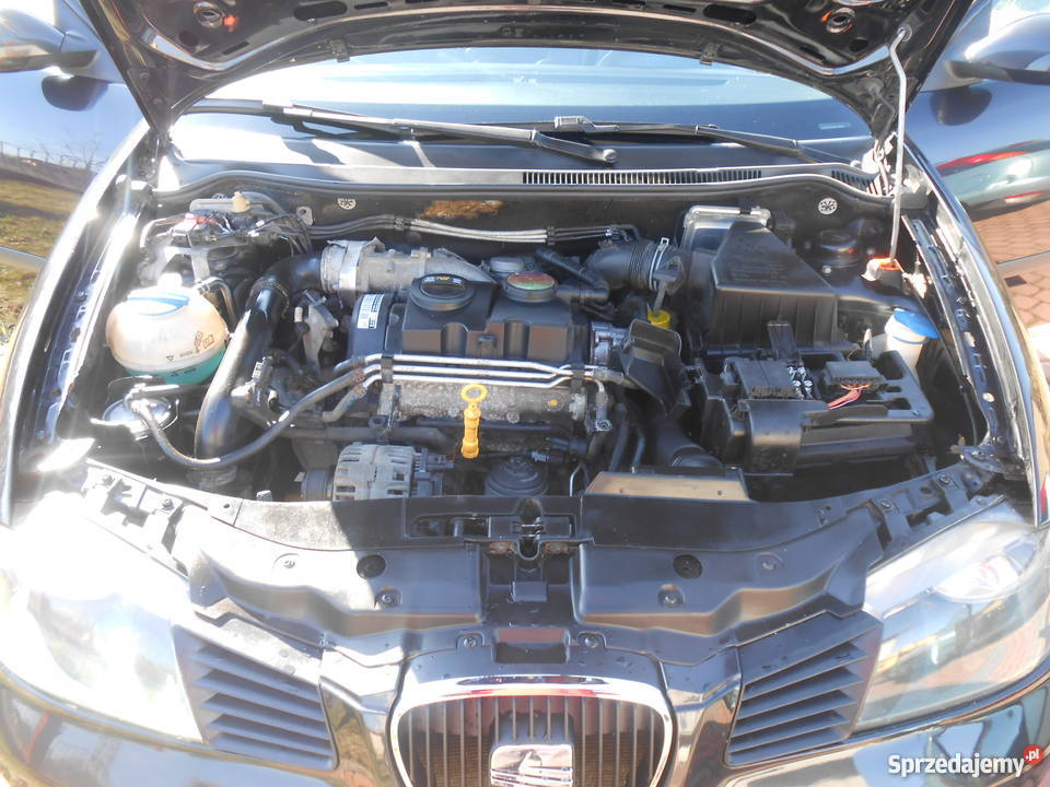 Seat Ibiza III lift 2008 14 TDI Aleksandria