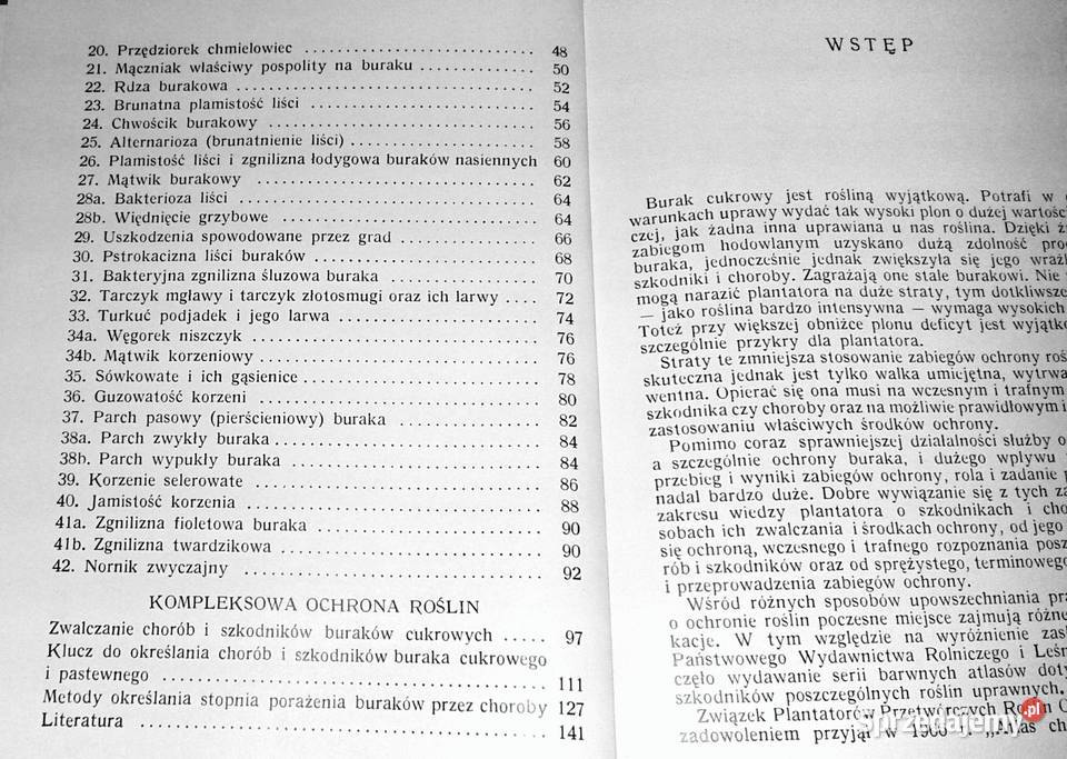 Atlas chorób i szkodników buraka cukrowego K Chełm