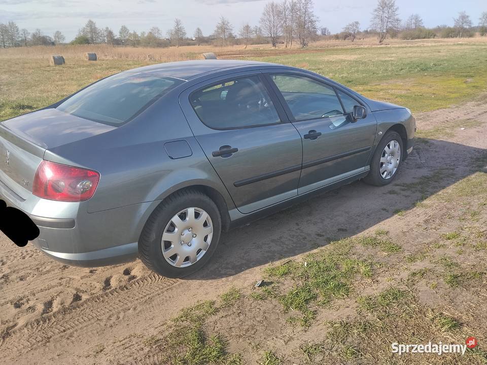 Peugeot 407 18 gaz Łęczyca