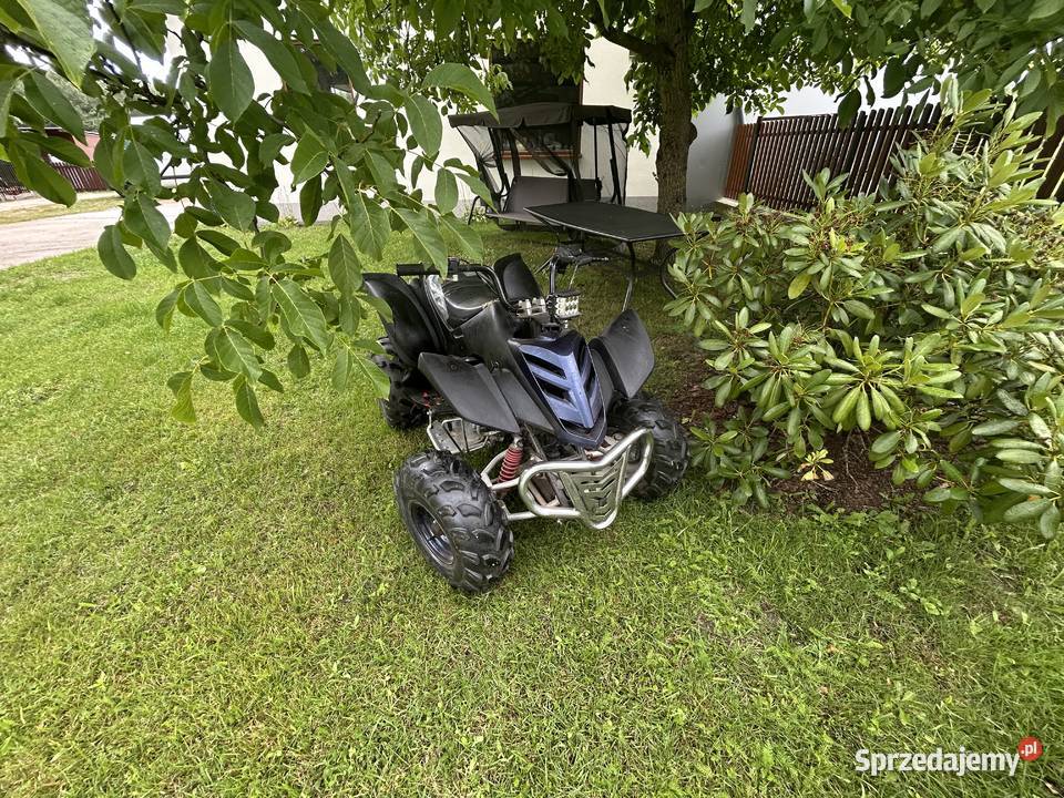 Sprzedam qada bashan 200 Grabów nad Pilicą