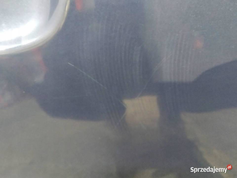 DRZWI PRAWE PRZÓD EB Ford Focus Mk3 20102019 Części samochodowe