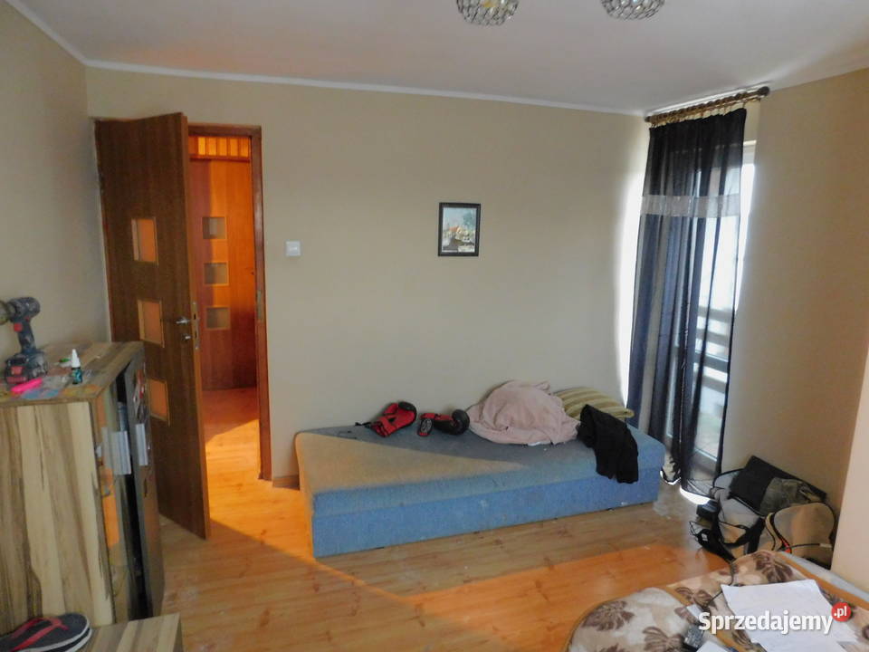 Syndyk sprzeda Brzóza