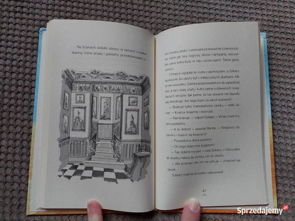 Bajka na biegunach Henryk Bardijewski ISBN 9788310115058 Kraków