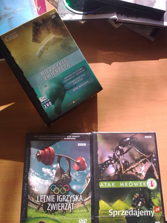 Kolekcja filmów na DVD DVD Filmy Białystok