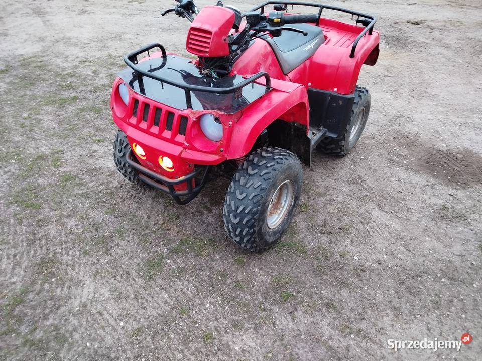 Quad Zipp 100cc duży i masywny 100cm3 Kostry-Noski