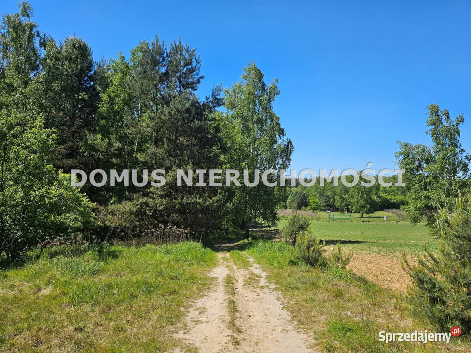 sprzedaży gruntu 22000m2 Brzeziny łódzkie