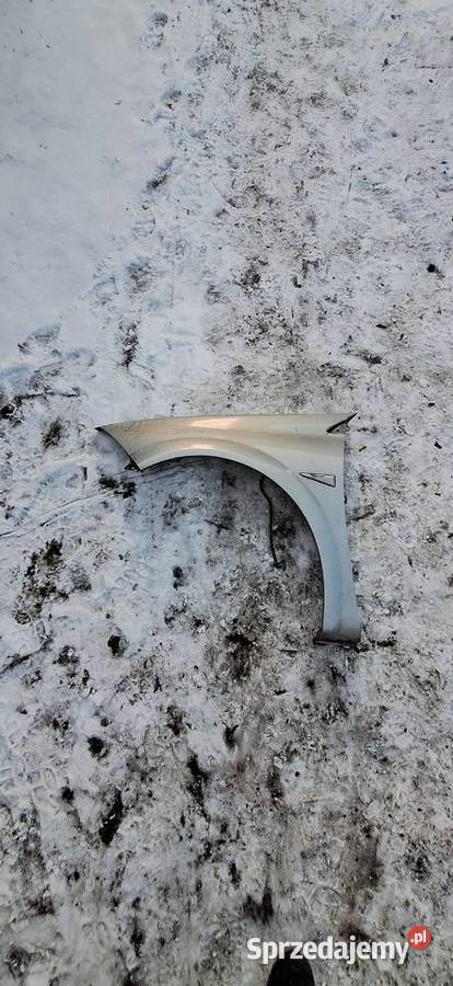 Błotnik lewy Renault Megane II śląskie Myszków