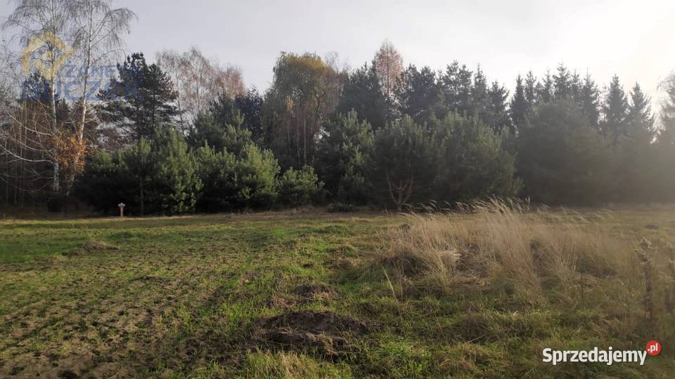 Sprzedam działki budowlanousługowe w Lubiejewie Lubiejew