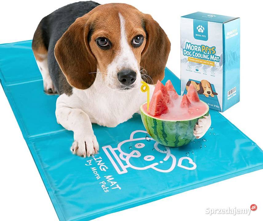 Chłodząca mata psa Mora Pets 50x90 Gaszowice sprzedam