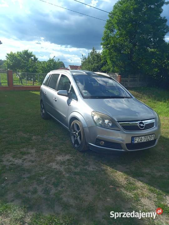 Opel Zafira B 19 Dachów