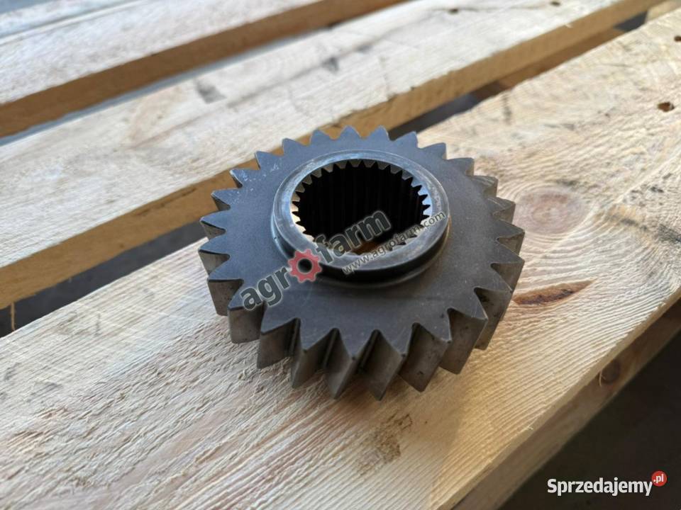 Koło zębate Z25 Case MX170 MX150 MTX175 Byków