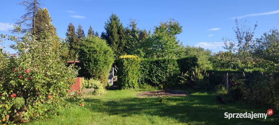 Działka ROD Konwalia Pyskowice 281m2 Nieruchomości sprzedam