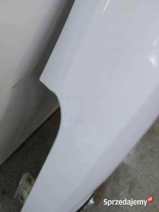 BŁOTNIK LEWY PRZÓD D389 Dacia Dokker I 2012