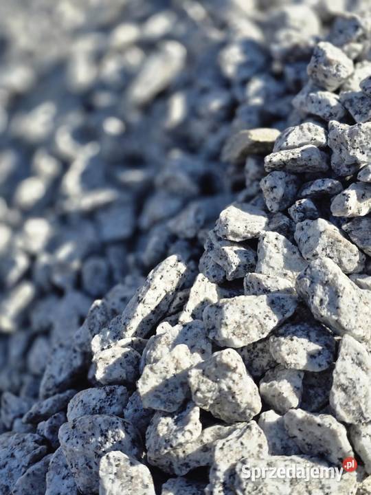 Grys granitowy dalmatyńczyk kamień ogrodowy Siemianowice Śląskie